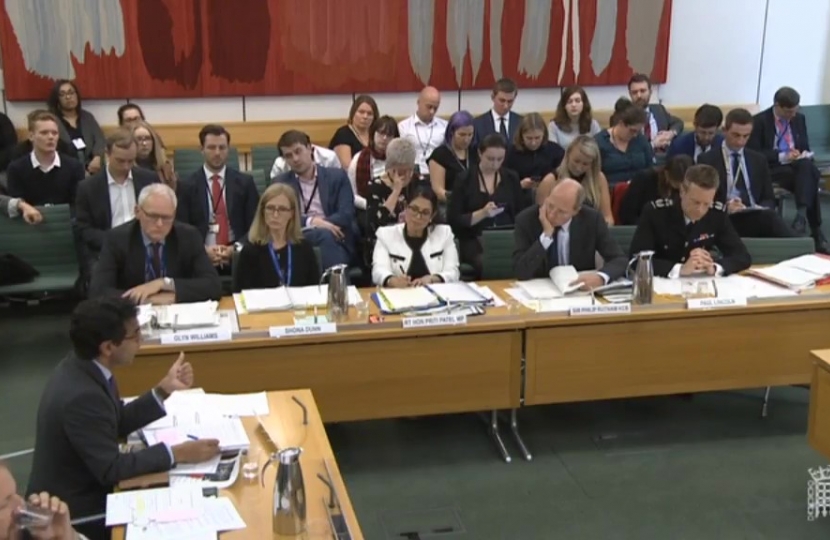 Panel of Home Affairs Select Committee witnesses