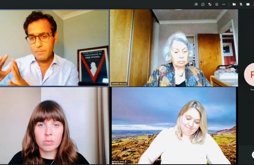 Screenshot of virtual APPG meeting