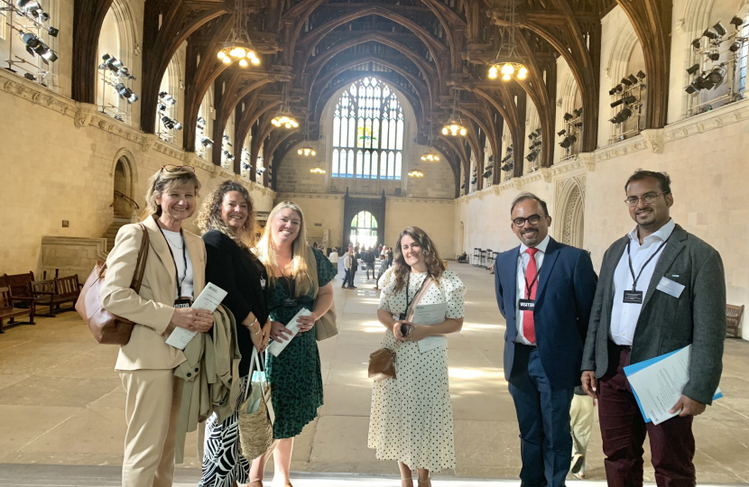 Medway NHS staff in Westminster Hall
